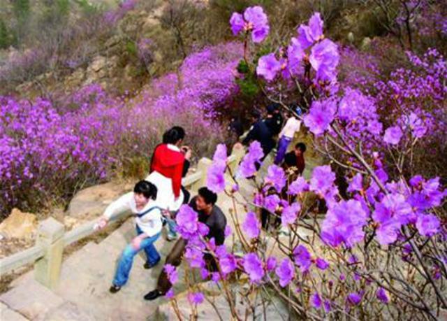 【好声音朗诵团】合诵组诗《清明时节》(图8)