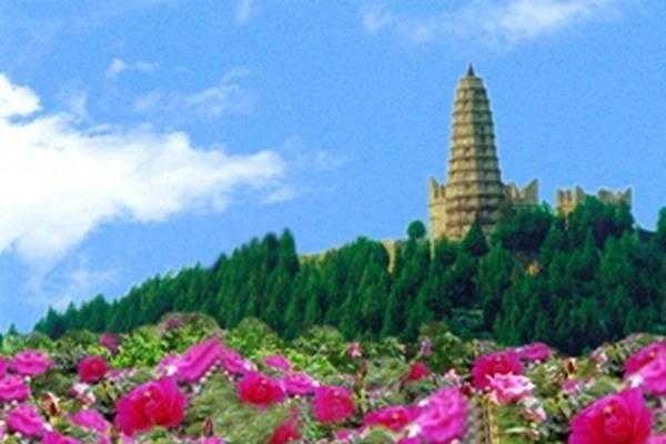 刘同芳：玫瑰园抒怀