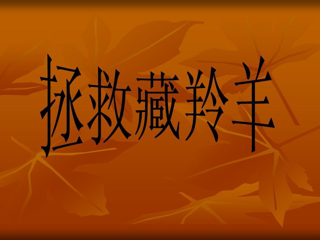 藏羚羊的跪拜 朗诵:龙之梦(图7)