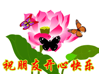 微诗 阳光 平台诗友佳作 单色梦老师点评(图5)