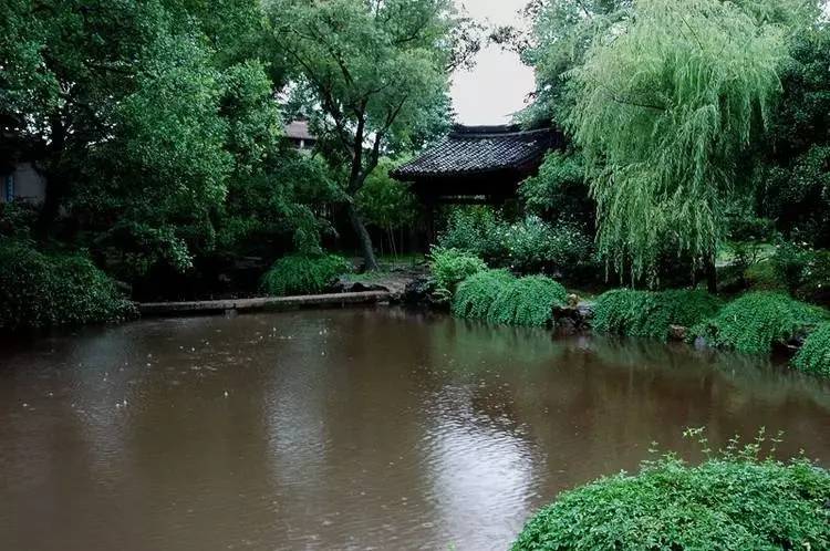 沈园的雨(图4)