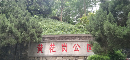 甯﹀▋鐨勮崳瑾夊氨浠庤繖閲屾粙婊嬪湴鍐掍簡鍑烘潵_400.jpg