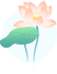10篇朱自清散文名篇联诵（六）《说扬州》朗诵：李海英（图8）