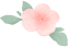6bcf5528a50a47294c8a23d351a67961.jpg