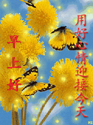 暑假童诗贾梅系列之二 文/西心月 诵/林海(图9)