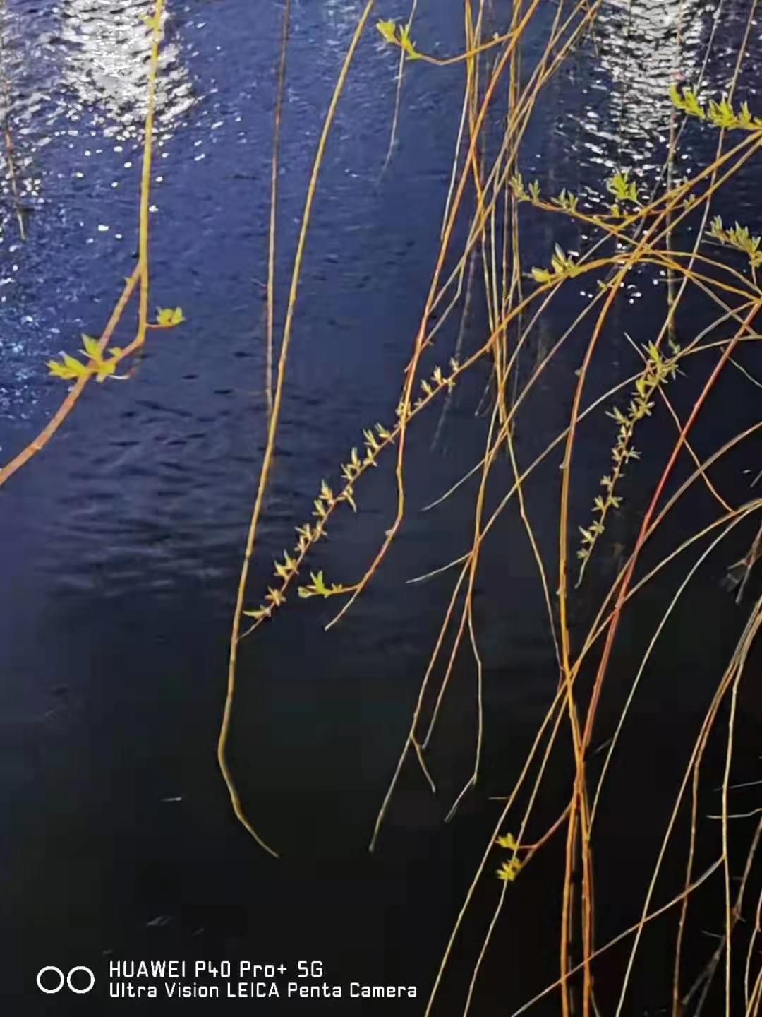 1626348669355041303.jpg