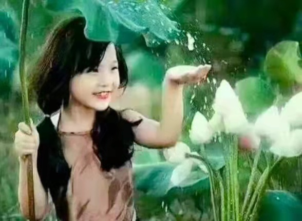 1627083295005019091.png image.png