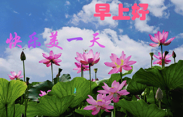 小诗陪你过暑假 ( 亲亲一家人组诗之一 ) 文/西心月 诵/芳草青青（图10）