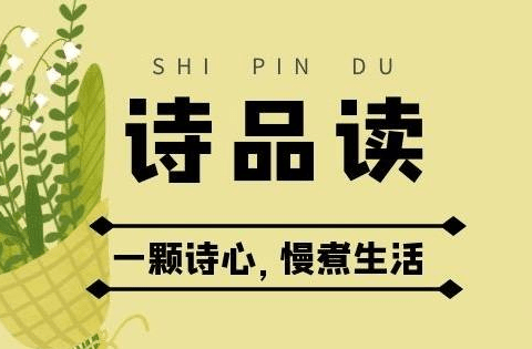 《蝉》虞世南(唐)||诗品读