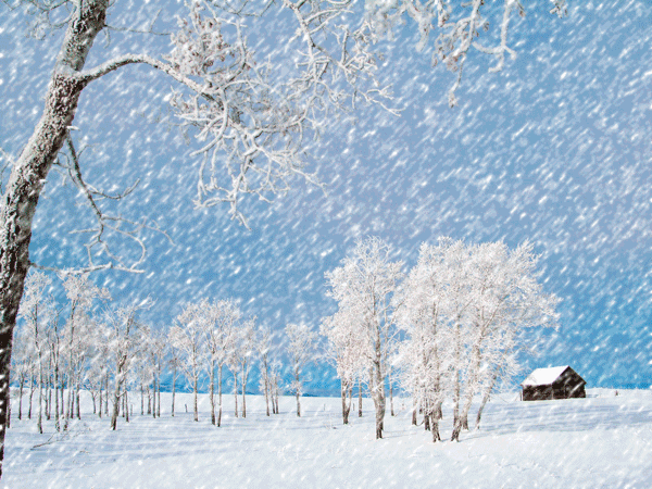 冬季雪景动态壁纸图片
