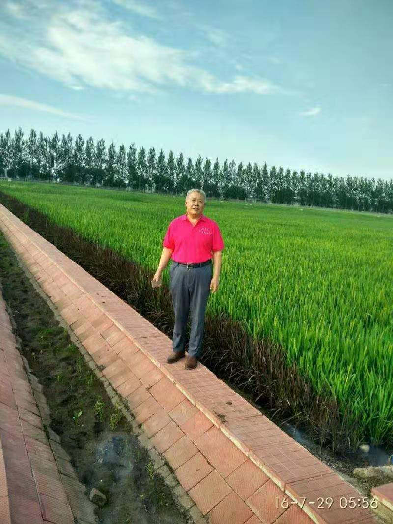 元宵情趣(小小说)//杨延斌(图2)
