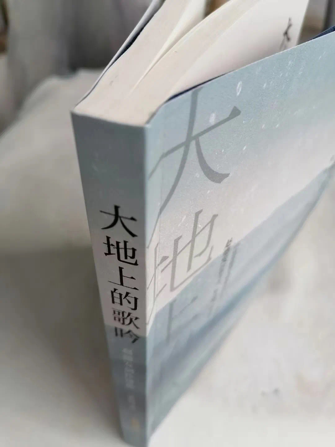 歌吟与咏唱,和合而为一 ——读李恒昌《大地上的歌吟》有感 文/郑成香(图2)
