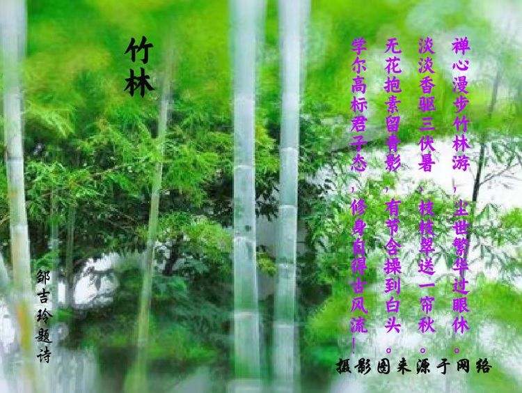 邹吉玲散文 诗 书画新春专辑(图2)