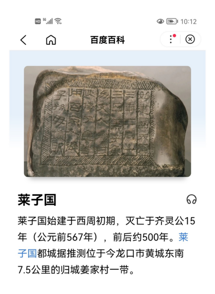 一场有关“西来子”的讨论