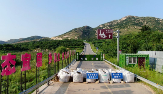 一场有关“西来子”的讨论（图4）