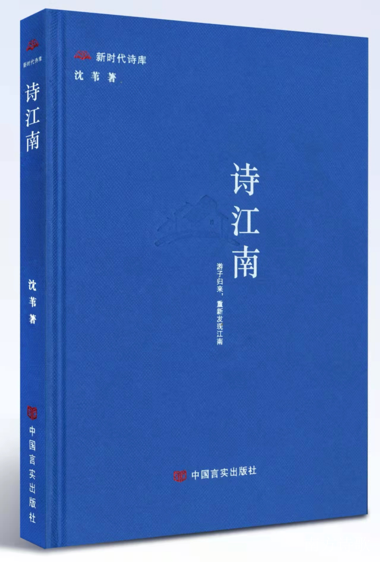 “90℃诗点"张媛媛：诗意何以安抚乡愁--品读沈苇的诗（图2）