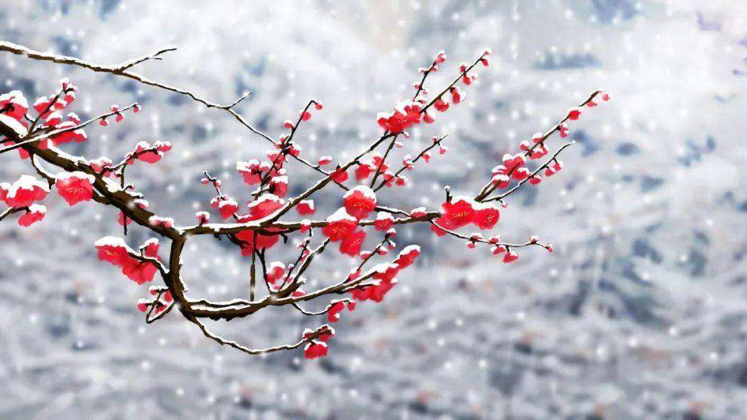 《踏莎行·雪似梅花》马小明古诗词艺术歌曲,晁然曲,杨霖希伴奏