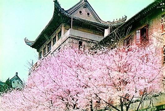 【美文美诵】《春到武汉》——诗琴吟诵昆山新作(图9)
