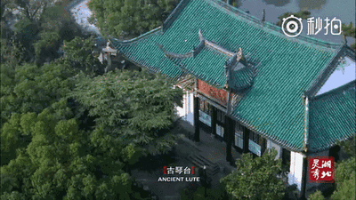 【美文美诵】《春到武汉》——诗琴吟诵昆山新作(图2)