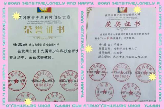 喜报!湖北武穴余川镇松山咀小学师生在黄冈市级创新大赛中斩获佳绩!(图3)