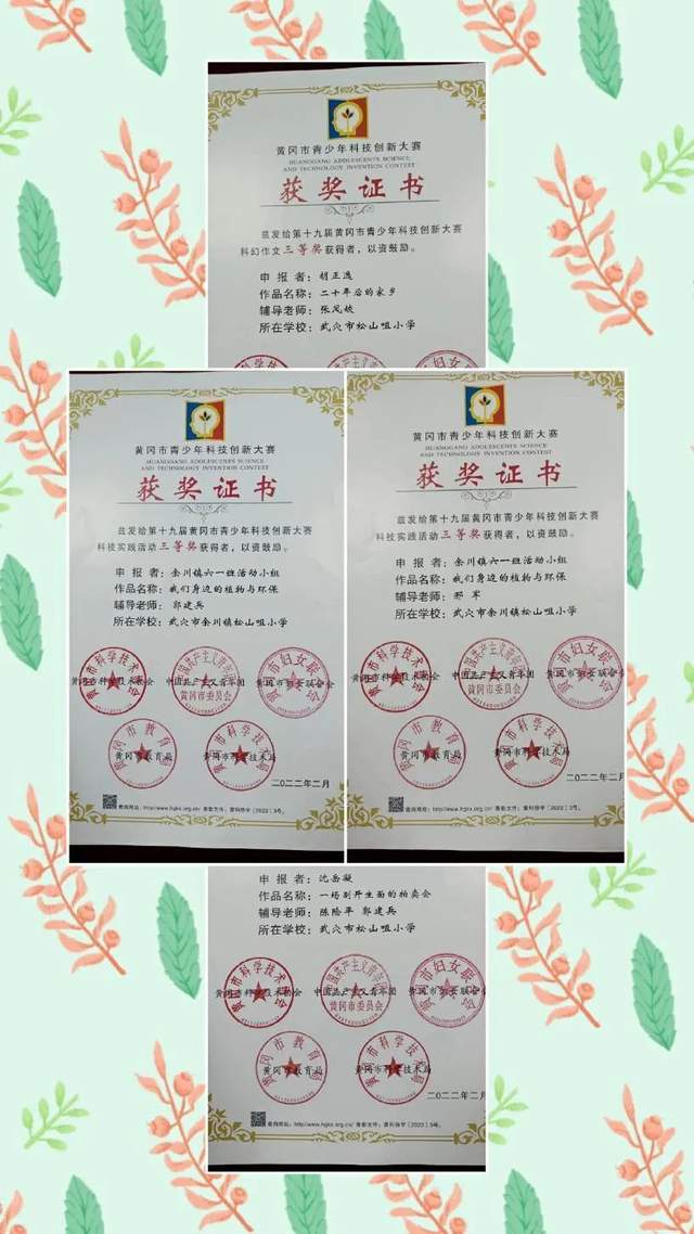 喜报!湖北武穴余川镇松山咀小学师生在黄冈市级创新大赛中斩获佳绩!(图6)