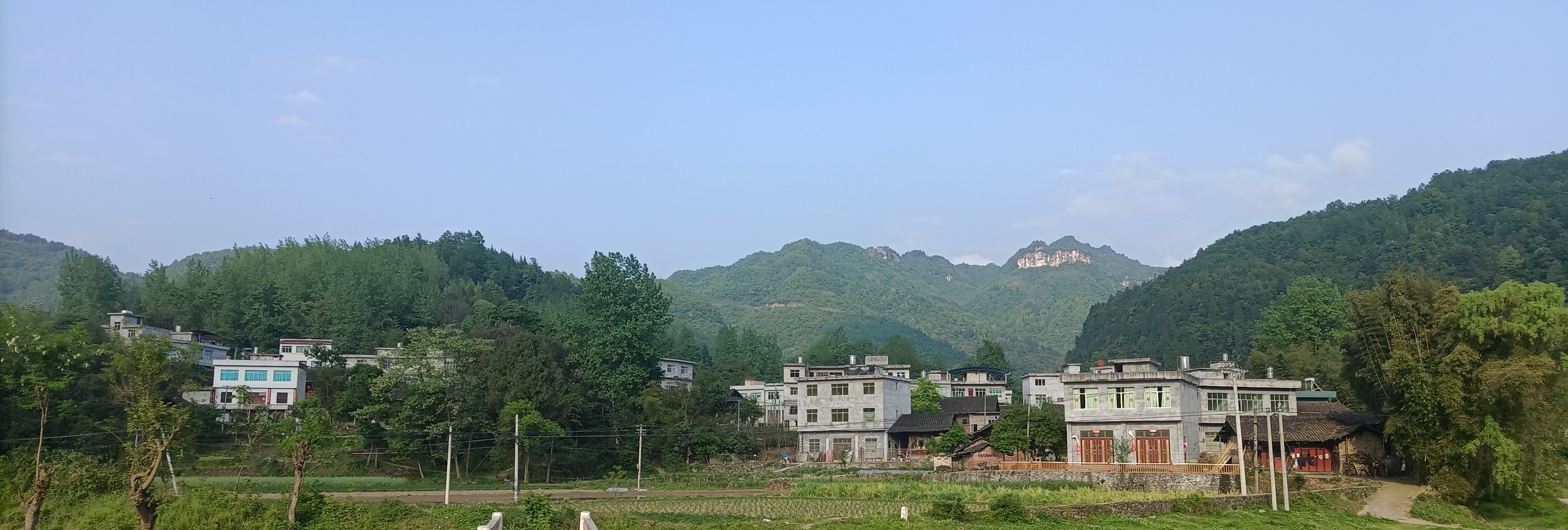 151103673.jpg p01.jpg