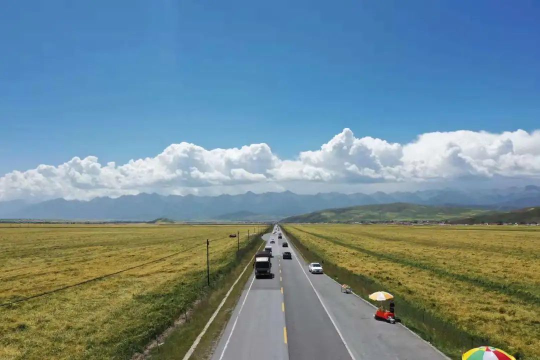 精品诵读|骆勇诗歌专辑|作者:骆勇(西安)|朗诵:闽南风(河北)(图2)