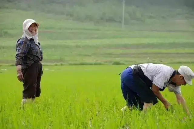 精品诵读|骆勇诗歌专辑|作者:骆勇(西安)|朗诵:闽南风(河北)(图5)