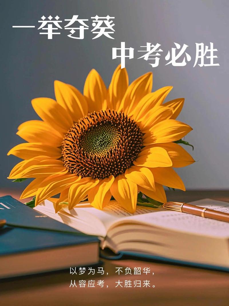 张希诵读《寄语中考生》 作者：王胜利（图3）