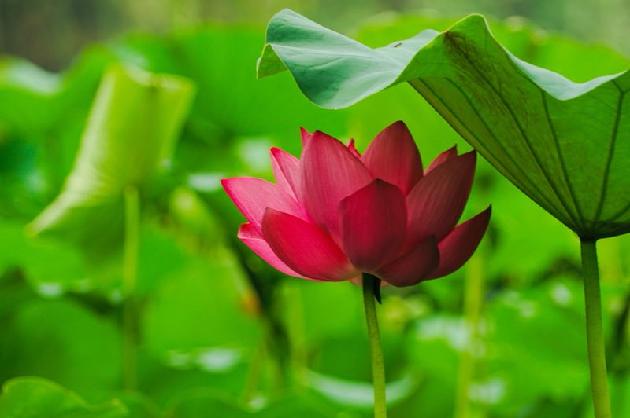 picname