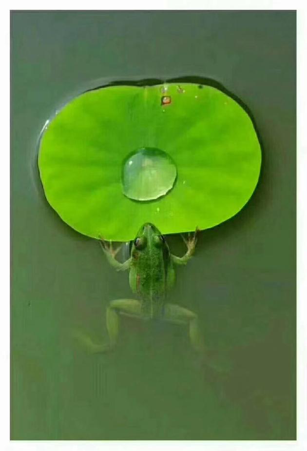 picname