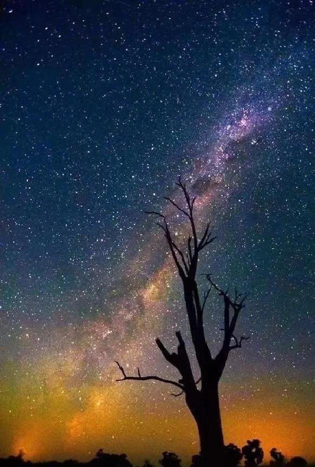 picname