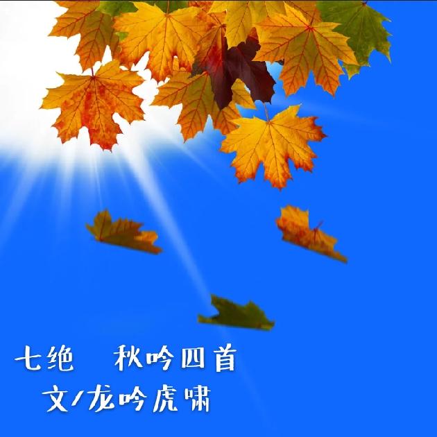 picname