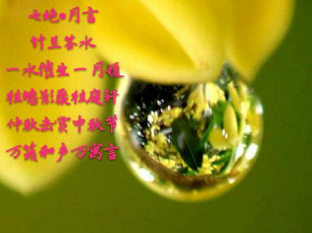 picname
