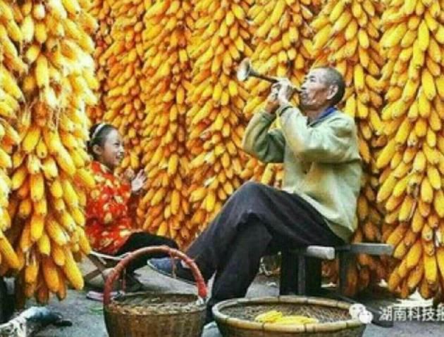 picname