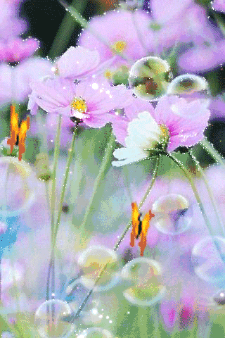 picname