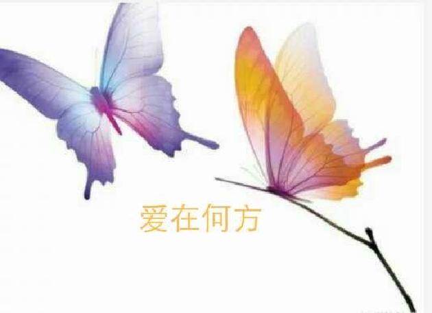 picname