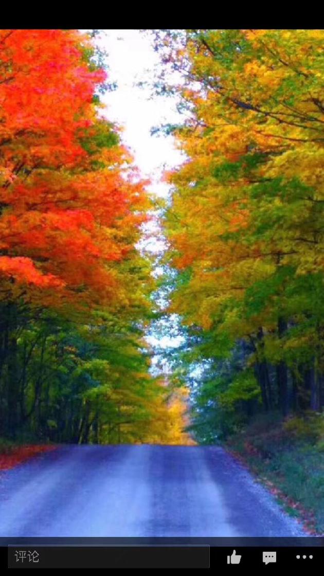 picname