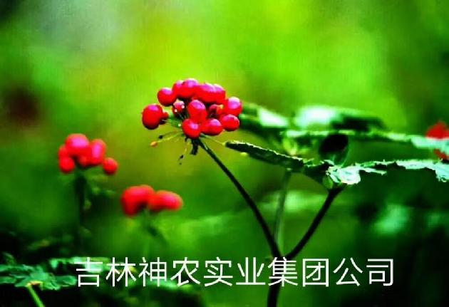 picname