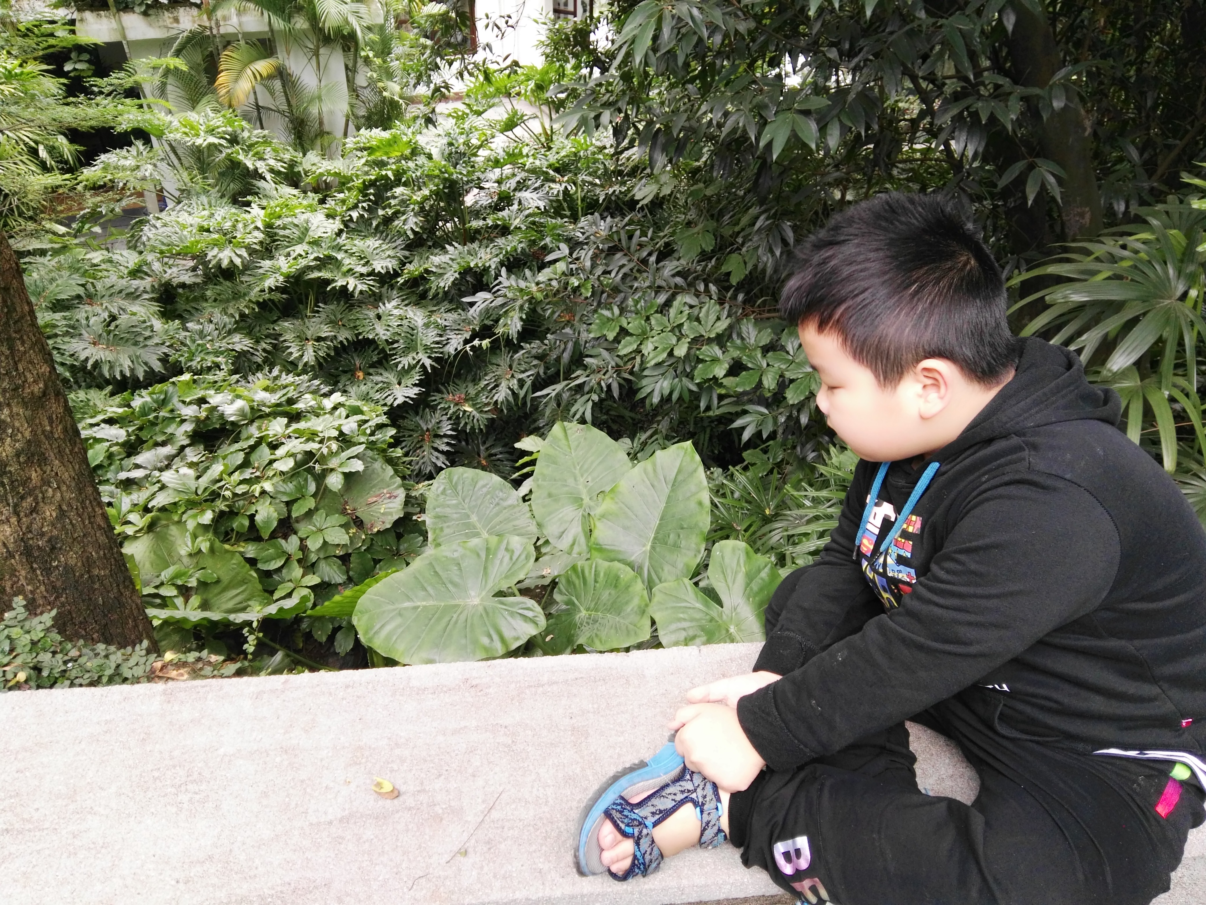 picname