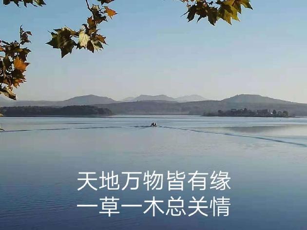 picname