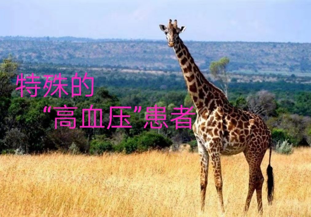 picname