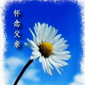 picname