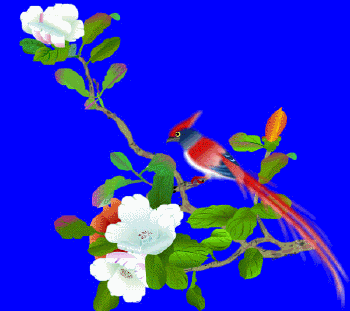 picname
