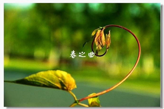 picname