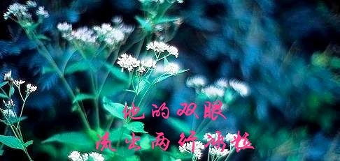 picname
