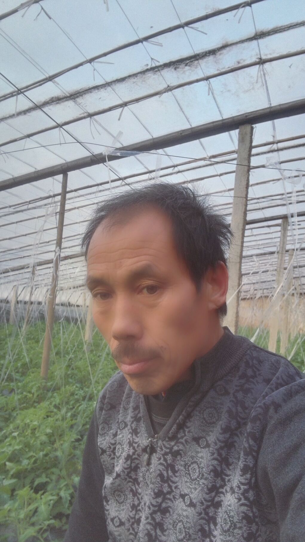 picname