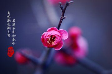 picname
