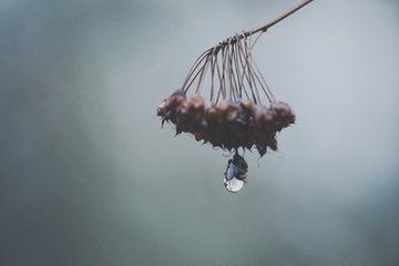 【诗生活】无题‖作者:流金岁月