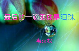picname